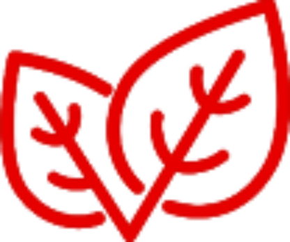 Greens & Super Foods